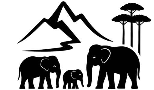 cropped KLEC logo e1757256815637 removebg preview